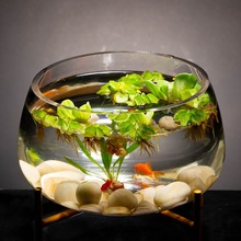 ͸ƿ~XˮֲﻨaG}͏dA~