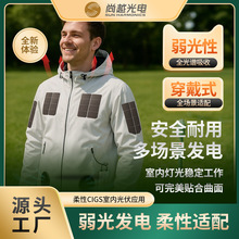 �m�ö����������� �҃�̫��ܰ�IPVʹ����ĥ 2.25Wp  ����CIGS