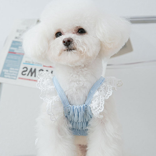 Spring and summer thin breathable dog skirt lace chiffon polka dot cute princess skirt cat feet pet clothes