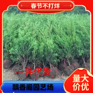 ��u�ش̰،������ɰ؂Ȱ����ر������Ĺ���ɒ�Ĺ�Ɉ@�־G����ľ