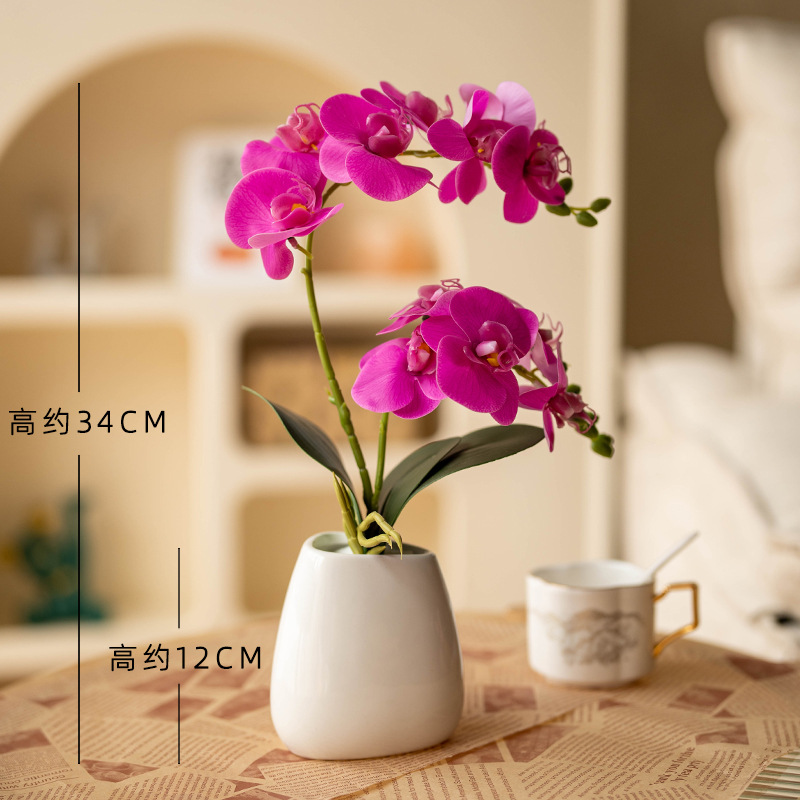 스몰 노르딕 + 2포크 호접란 딥 퍼플