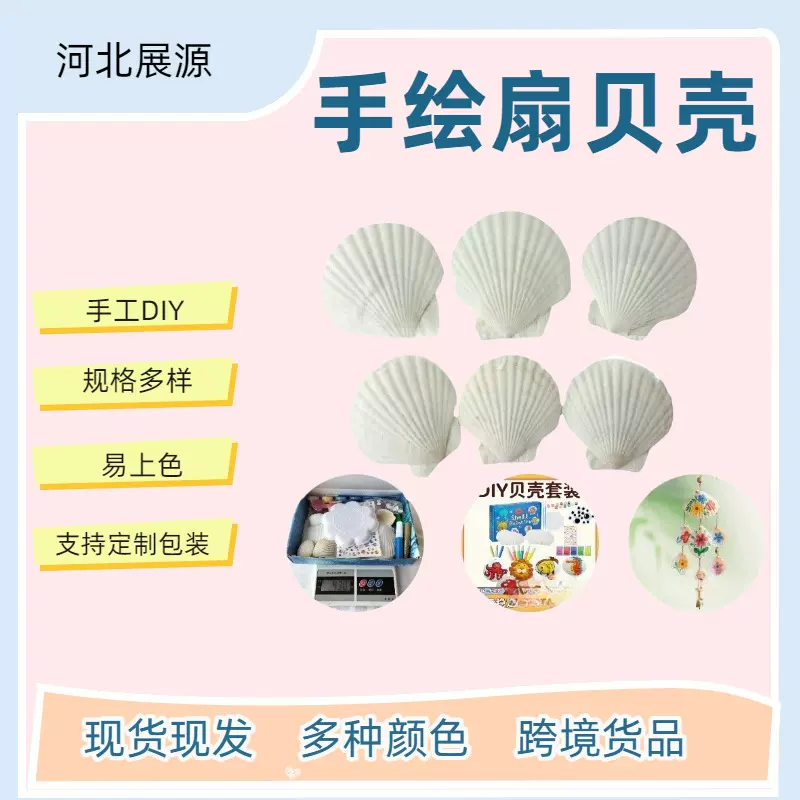 白扇贝壳小海螺手工diy创意涂色夏怡贝工艺品装饰用贝壳