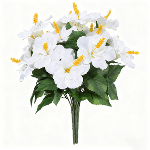 ���R�d�¿�ܽ��ͩ���������Q�ٻ���c�Y�üҾӿ͏d������滨�b�