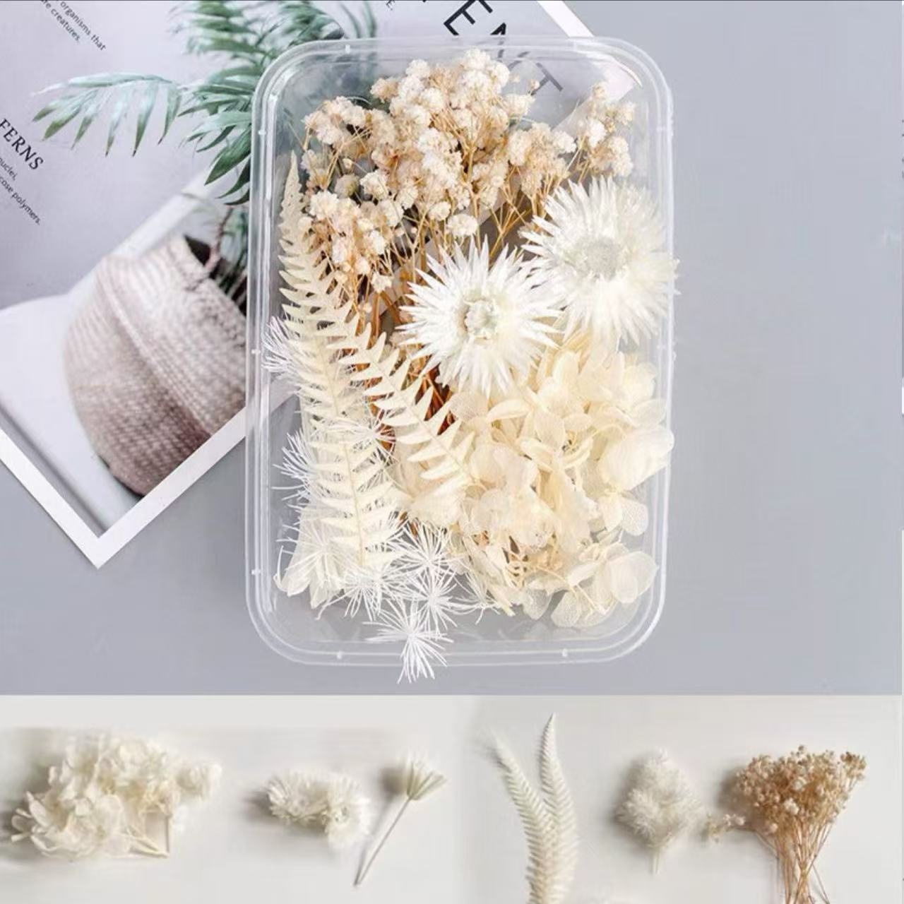 Paquete mixto de bricolaje, decoración hecha a mano, flor eterna, material de paquete de flores secas, marco de fotos de bricolaje, paquete de flores en relieve, día de la mujer