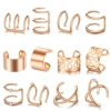 Rose Gold-12pcs Set