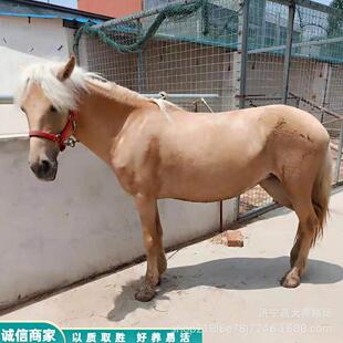 ���R���R���w���RС�R�x���ヺͯ�R���^�T���R�����R�O���m���R