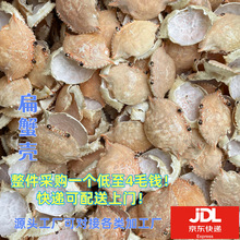 螃蟹壳100个起订扁蟹空壳毛蟹盖蟹壳干装饰品蟹宝壳