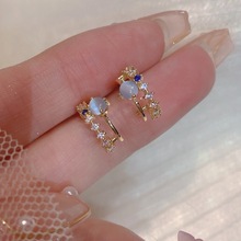 ���Z��ʽ���s�{ɫ؈��ʯ���Ůʿ�r�ж��h�������P�o�������A