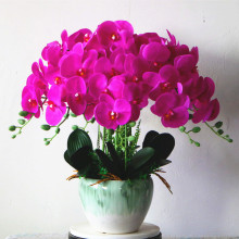 �ٻ�pu�^�z�ָб�������m���Ի��ҾӔ[���҃Ȳ�������b�