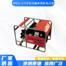 YPB10.5/5��̧ʽɭ��������ѹ���ֵ�˫����������Զ�̳�ˮ��