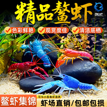 ���r�^�p�r��ˮ��ˮ���ͻ��w����t���{ɫС���r��ɽԭ������{ħ