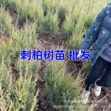 �ؘ̰���̰�1-3�ߴ̰ش̰خa�ش̰ش�����؈A�ɰؙu�ؘ�A����