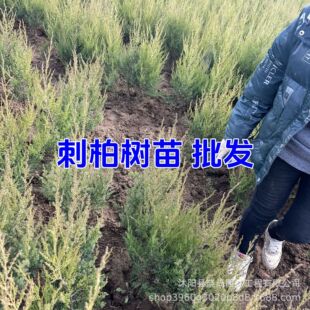 �ؘ̰���̰�1-3�ߴ̰ش̰خa�ش̰ش�����؈A�ɰؙu�ؘ�A����