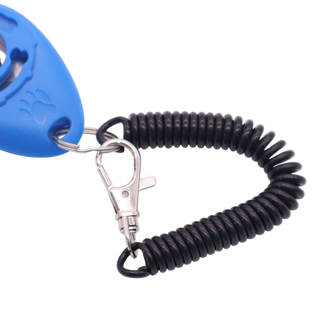 Cross-border explosions pet dog trainer dog training film dog training instructions dog training artifact training supplies wholesale