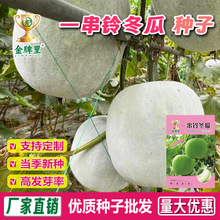 һ��⏷�Ƥ���ϷN�Ӽ�ͥ�@ˇͥԺ�Nֲ�N���r���ļ��߲˴󶬹ϷN��