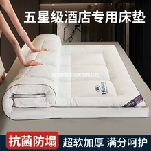 ϣDƵӺӿۯBܛ|pˌWᴲ|䁵