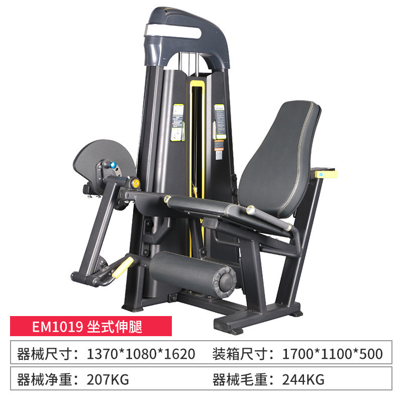 gimnasio comercial sentado pierna flexión y extensión entrenador músculo de pierna flexión