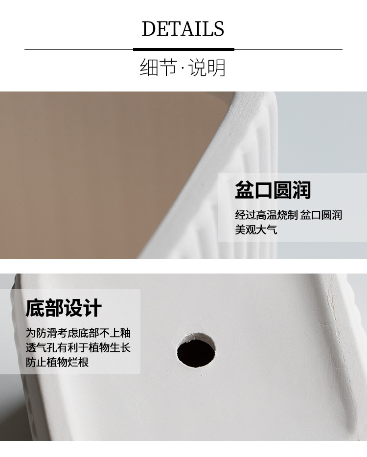 c0139e85-46b3-4fbd-bcc6-40de919ba26c.jpe