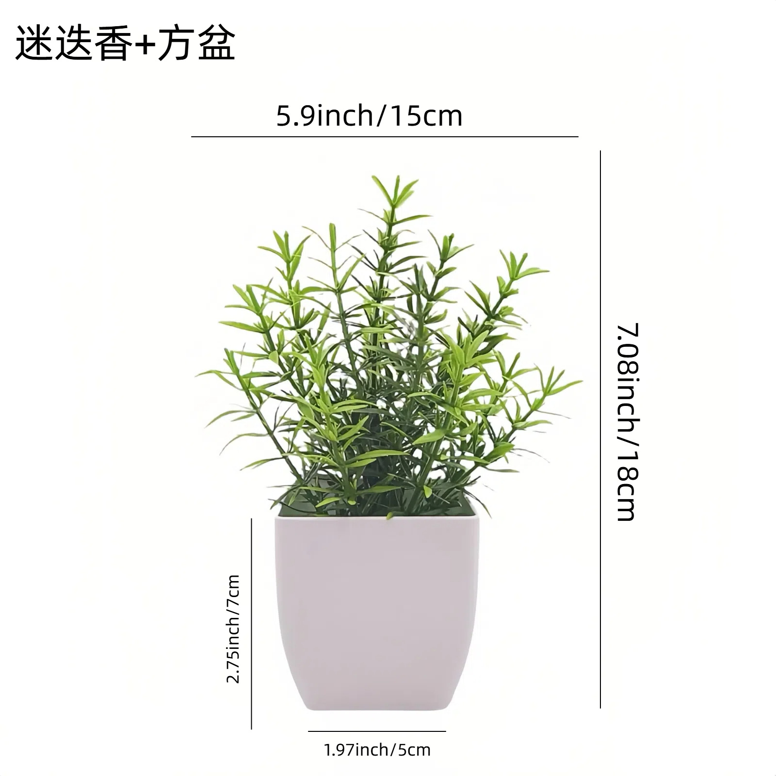Venta al por mayor transfronteriza de Amazon: Juego de 10 mini plantas artificiales en maceta para decoración del hogar, eucalipto, lavanda, bonsái image 7