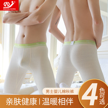 网将秋裤男士纯棉保暖裤修身打底衬裤冬季薄款男款棉裤大码毛线裤