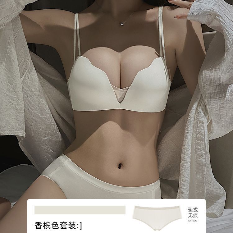 샴페인/세트