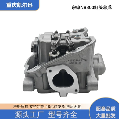 Zongshen motosiklet mühərriki Nb300 silindr başlığı, tək silindr aksesuarları