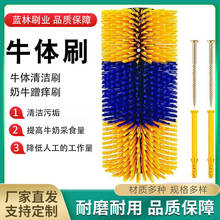 �S�����a�ϰWţ�wˢ��߅ţ�wˢ��ţ��Ħ�ϰWëˢ�����坍 ��Ħˢ