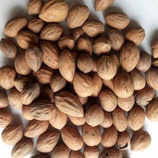 ����� ����� ľ���  ���꽛�I��؛