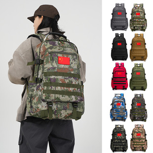 ���g�Բ��p��������L���б����ЌW�������������e��������ɽ��