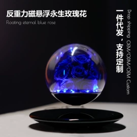 塑料工艺品;展示架;其他装饰摆件