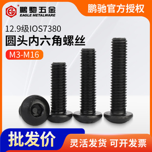EG�i�Y�l��10.9���ߏ��ȈA���������ݽz��A�^�ߏ���˨M3-M16