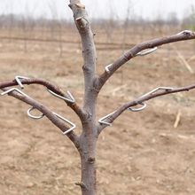 ֦SM̈́e֦OҘ_֦֦@辰ʡ