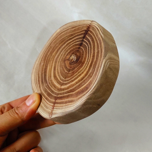 Ll Elm Tree Ring Log Board Tree Ring Round Wood Piece Solid Wood Tree Stump Decorative Green Plant Dot Base Desktop Ornament Wood