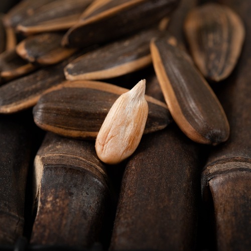 Large Kernel Caramel Walnuts Flavor Sunflower Seed Snack Wholesale Official Store