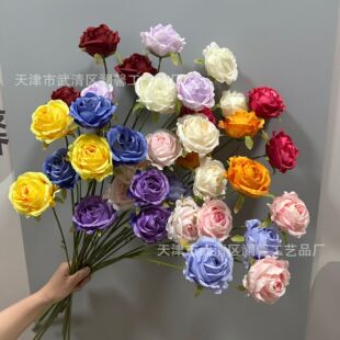 ��֦3�^�ͮ�õ���c���滨��Y���b�õ��ҾӔ[�O�Ƶ�zӰ�ٻ�