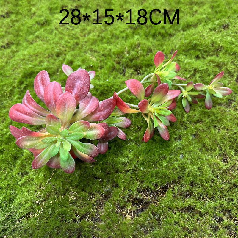 Marco decorativo Planta nórdica colgante de pared decoración de pared colgante de pared tridimensional pared de fondo de planta verde pared cabeza de ciervo simulación suculento planta verde