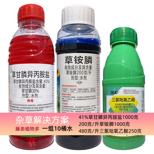 �ĵس��݄����� �ݸ�좲��@� ������������ ���ĵصĳ��݄�