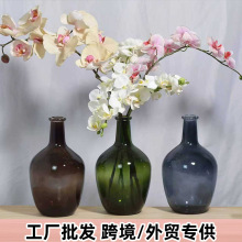 跨境北欧简约大肚玻璃花瓶日本吊钟马醉木插花水培落地透明大装饰