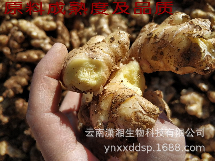 Dried Ginger Slices Gan Jiang 250g Small Yellow Ginger from Yunnan for Tea and Cooking quality and texture
