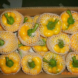 ������ʽ��t�S�Gɫ���a��ֱ�������Q���ڣ�