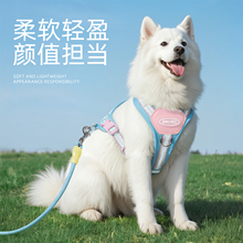 �羳���ر������������K��С��Ȯ͸������_������z���������