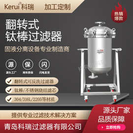 定制加工翻转钛棒滤芯过滤器精细化工可反洗过滤设备耐酸碱耐高温
