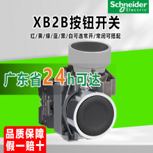 ʩ�͵�XB2B����ƽͷ���ذ�ťZB2BA31C��ɫ�Ը�λ�������ذ�ť����