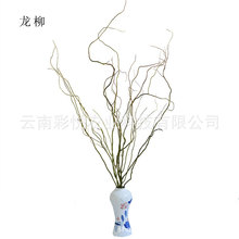 ֱ֦l rcҾӲ廨——tľ