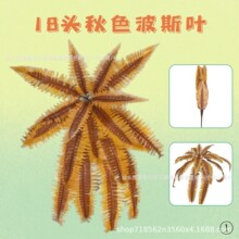 ���R�d ������ɫ��˹�~�Gֲ��ʿ�Dާ�� �����̈��Ƶ������b�Ʒ