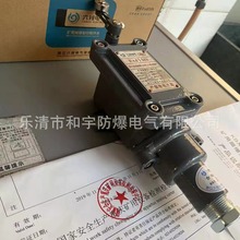 华荣科技KBXC-5/127-1矿用隔爆型行程开关防爆限位开关L/S单摇臂