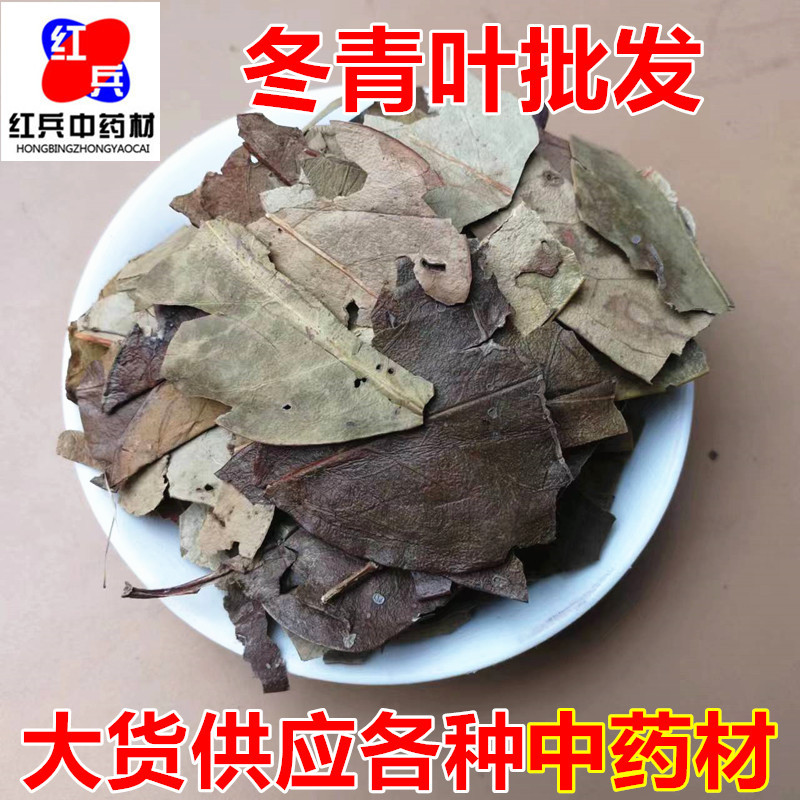 Dried Mao Dong Qing Leaf Ilex Pubescens 500g Traditional Chinese Herb for Decoction and Tea overview