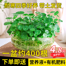 �ļ��~�X��ˮ������ֲ���k��������С�Gֲ�����҃ȃ����՚�ֲ��