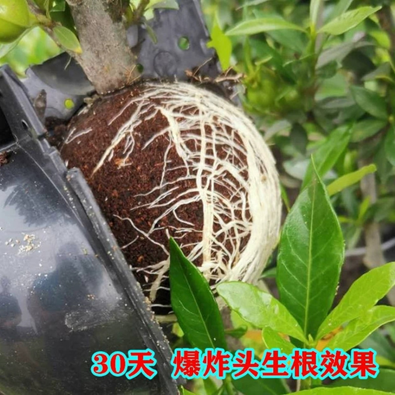 1619088882526_副本