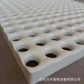 厂家供应兔用塑料漏粪板兔产床漏粪地板兔养殖漏粪垫板图片、价格